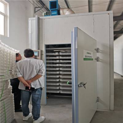 農副產品香菇干燥設備 大型香菇干燥機的優勢與應用