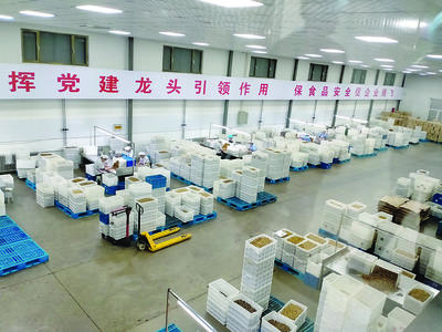 汾陽市多措并舉支持農副產品深加工，助推農業經濟提質增效