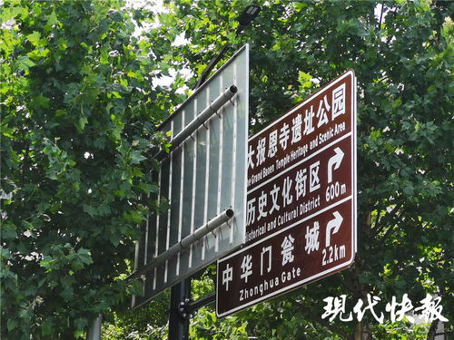 鐵皮與霓虹的對望